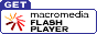 Download Flash Plug-in
